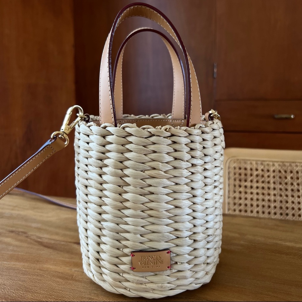 Frances Valentine Small Woven Bucket Bag